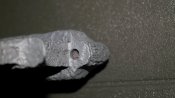 Конструктор СВТ-40 №2