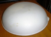 IMGP7031.JPG