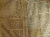 P80220-181937.jpg