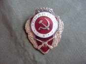 SDC13381.JPG
