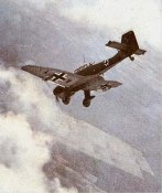 052b.jpg