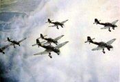 133b.jpg