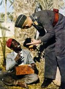 LuftwaffeinAfrica.jpg
