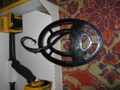 IMG_2522.jpg