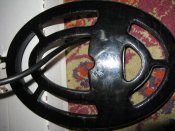 IMG_2523.jpg