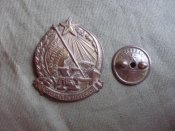 SDC19711.jpg