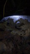 IMG_20160717_135238.jpg