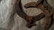 DSC05858.JPG