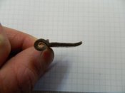 DSCN1719.jpg