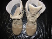 IMG_2717.jpg