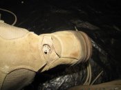 IMG_2750.jpg
