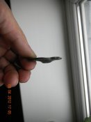 DSCN1559_800.jpg