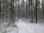 140120121363.jpg