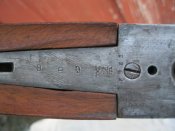 y_7445b197.jpg