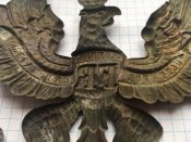 Орел пікельхельм