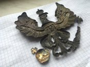 Орел пікельхельм