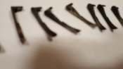 20180227_165205.jpg
