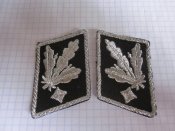Петлицы Генерала войск СС.