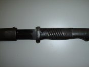 SUC50888.jpg