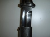 SUC50890.jpg
