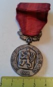 Медаль За заслуги обороны Родины...