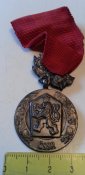 Медаль За заслуги обороны Родины...