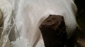 20180228_152130.jpg