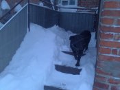 DSC_1102.jpg
