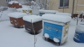 20180209_092522.jpg