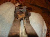 DSC00078.jpg