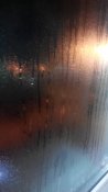 IMG_20100101_165341.jpg