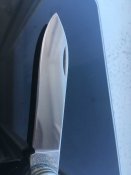IMG_1990_thumb.jpg