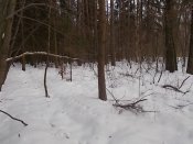 DSCN9740.JPG