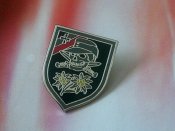 Эдельвейс  череп -  знак заколка