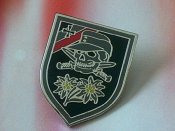 Эдельвейс  череп -  знак заколка