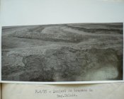 x_a377bb22.jpg