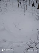 IMG_20180306_091558.jpg