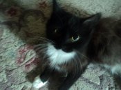 DSC05804.JPG