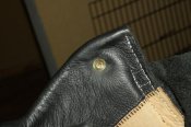 IMG_8387.jpg