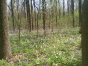IMG_20160410_135225.jpg