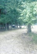 75.jpg