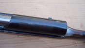 DSC08956.JPG