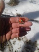 20180309_130724.jpg