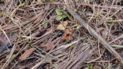 DSC03935.JPG