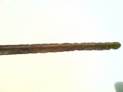 DSC00379.JPG