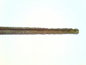 DSC00383.JPG