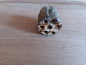 20180310_145032.jpg