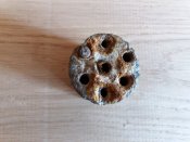 20180310_145040.jpg