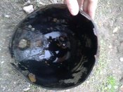 180420122099.jpg