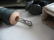 IMG_4423.JPG